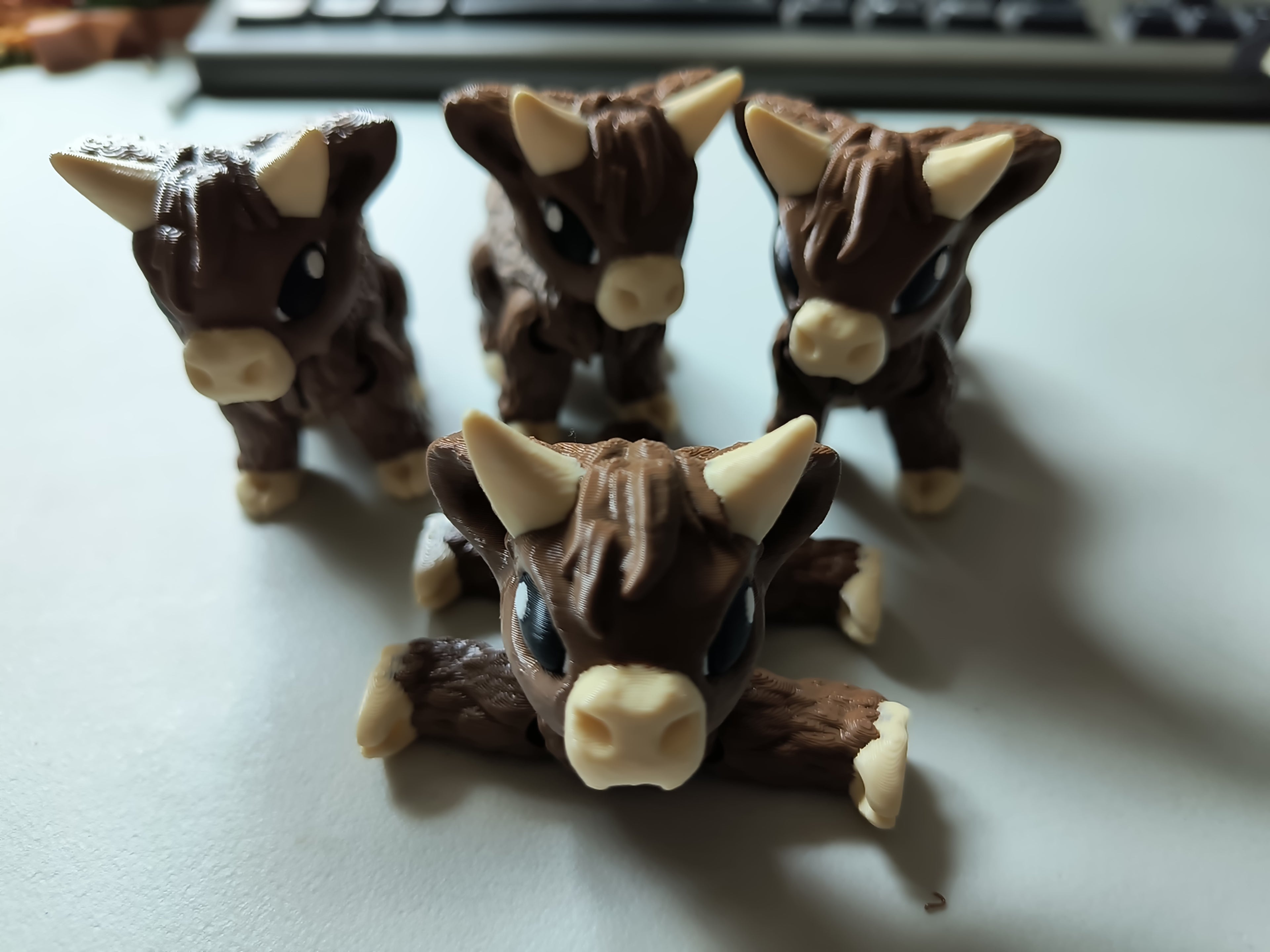 Highland Cow