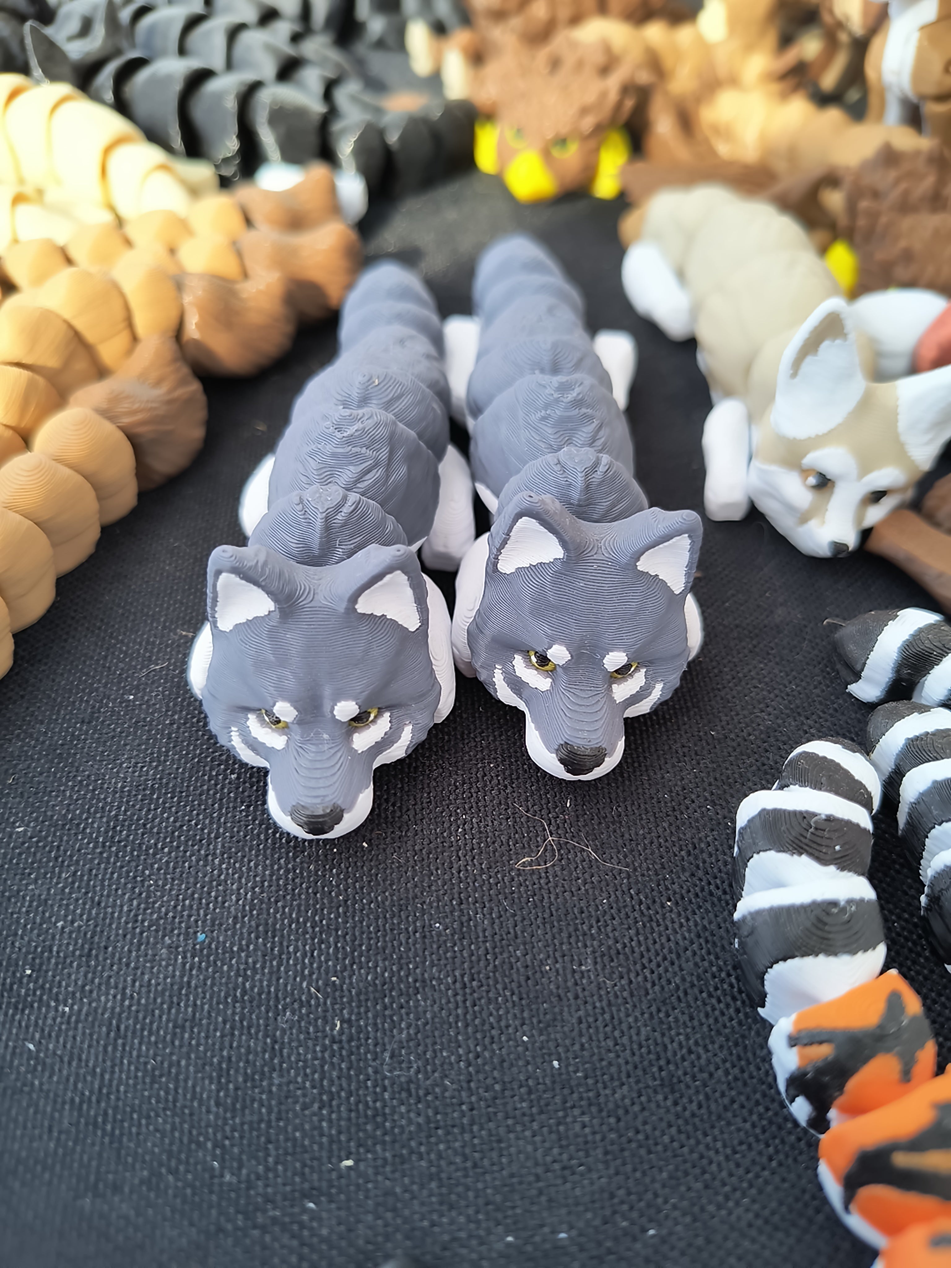 Wolf
